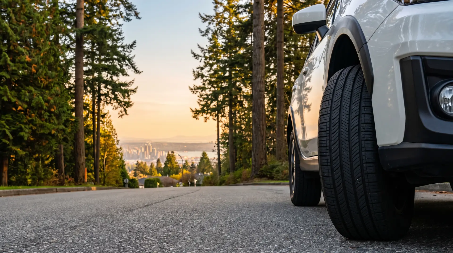 Burnaby Mountain with the city skyline behind